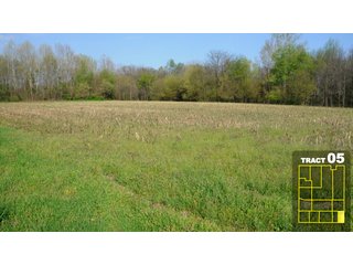 Property photo 28 - Land Auction 1035 Acres In 16 tracts - Farm Land - Sullivan Co. Indiana & Clark Co., Illinois
